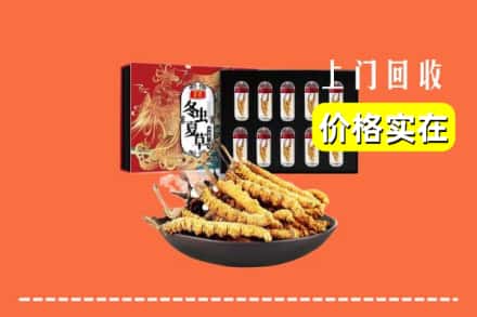 碌曲县回收冬虫夏草
