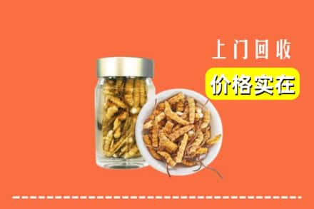 收购资讯:碌曲县回收散虫草