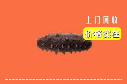 收购资讯:碌曲县回收海参