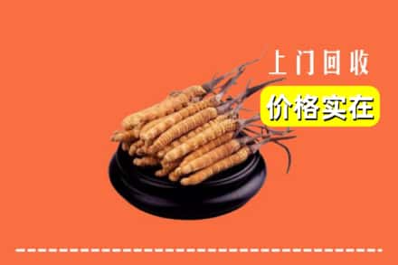 碌曲县回收冬虫夏草